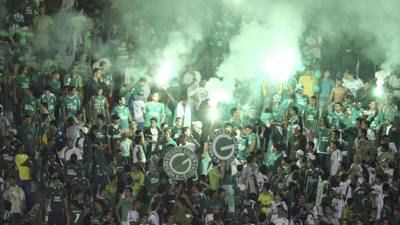 Goias v Palmeiras - 2010 Copa Nissan Sudamericana