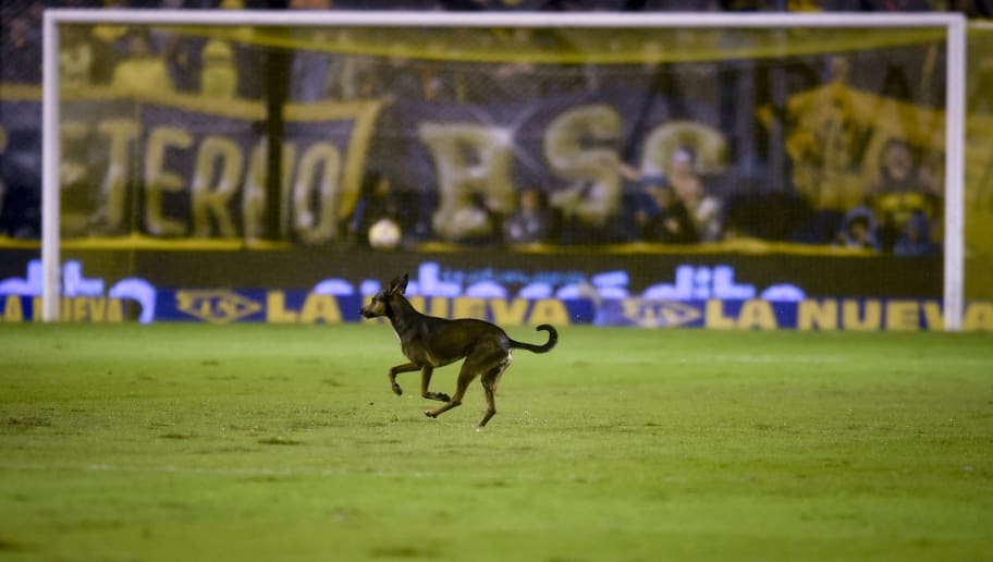 7 episódios malucos que já aconteceram em um campo de futebol - 1