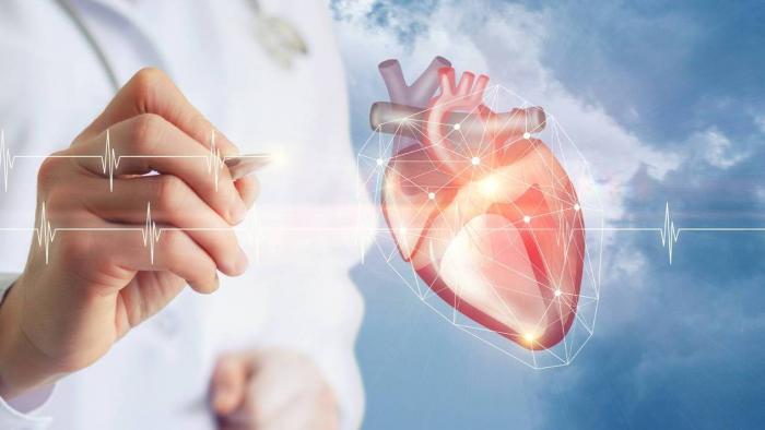 Cientistas transformaram células-tronco em tecido cardíaco — e transplantaram! - 1