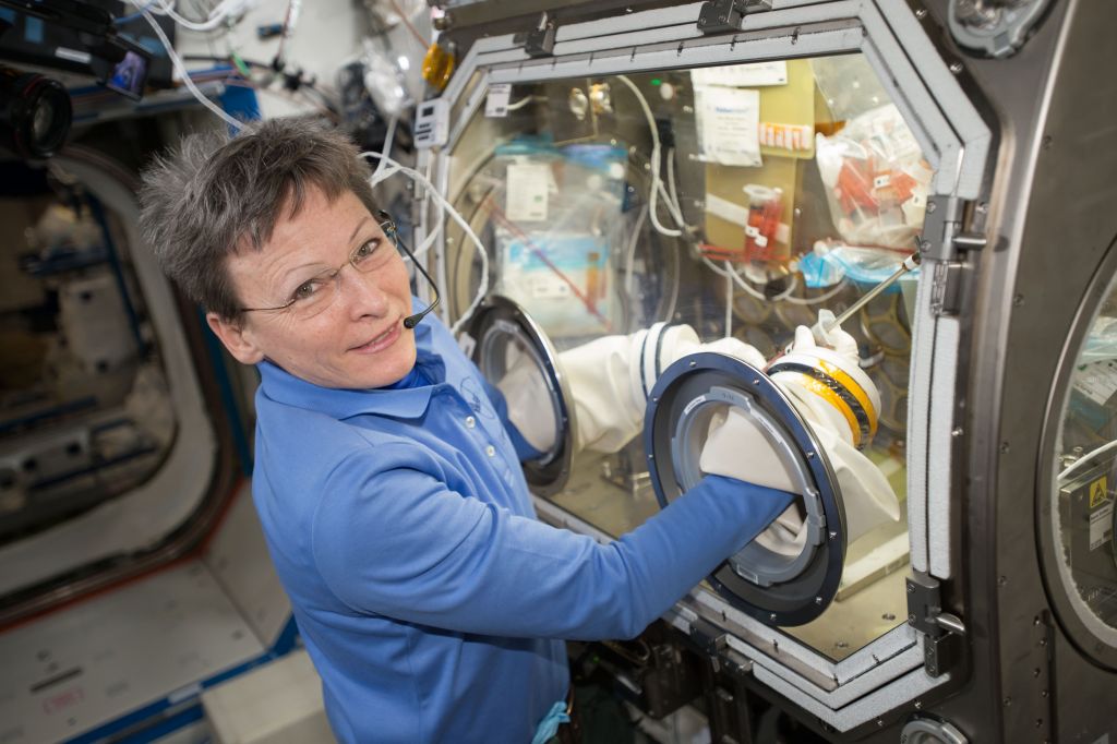 Conheça os próximos experimentos biológicos que a NASA realizará na ISS - 2