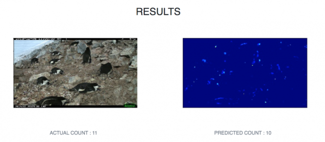 Inteligência artificial está sendo usada para combater extinção de pinguins - 2