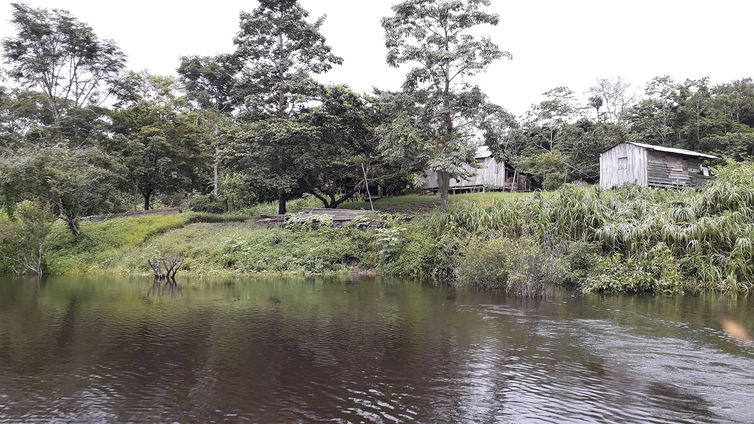 Pesquisa descobre ilhas construídas por indígenas na Amazônia