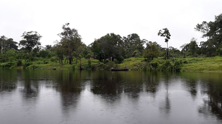 Pesquisa descobre ilhas construídas por indígenas na Amazônia