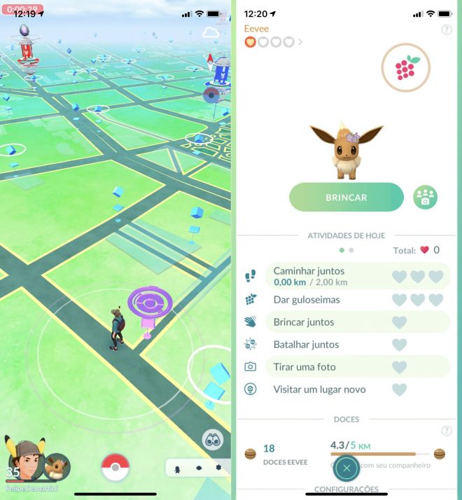 Pokémon GO: como usar o sistema de pet virtual do jogo - 2