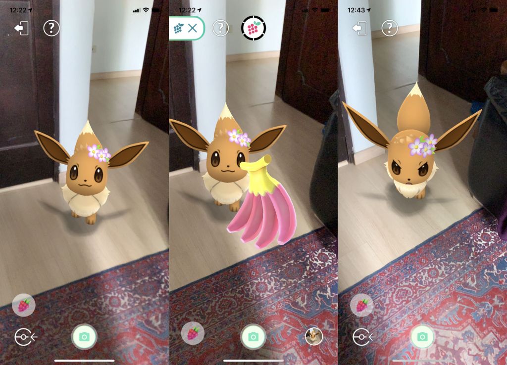 Pokémon GO: como usar o sistema de pet virtual do jogo - 3