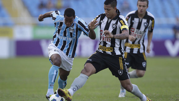 Botafogo v Gremio - Serie A