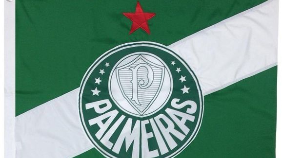 9 acessórios que todo torcedor do Palmeiras precisa ter - 4