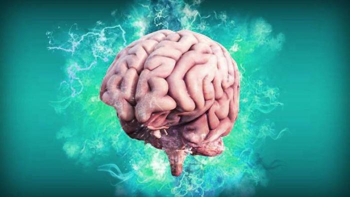 AI muda a maneira como cientistas entendem o cérebro humano - 1