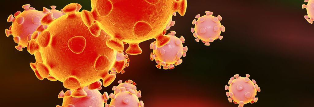 Coronavírus | Avanços nas descobertas podem auxiliar na criação de vacina - 2