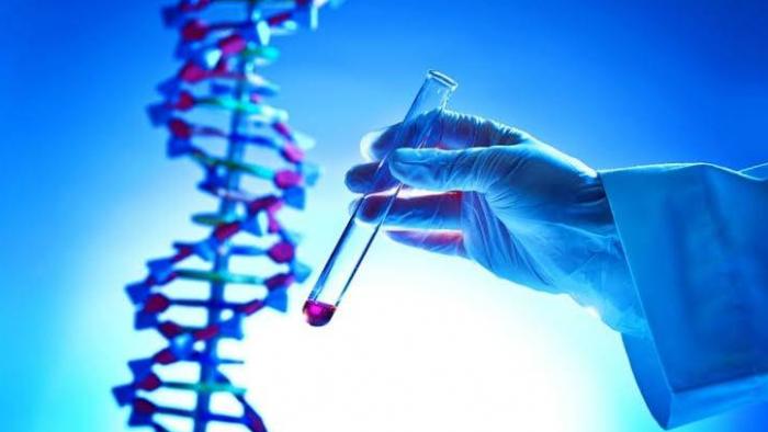 Custo real: analisar o próprio DNA online é seguro ou roubada? - 1