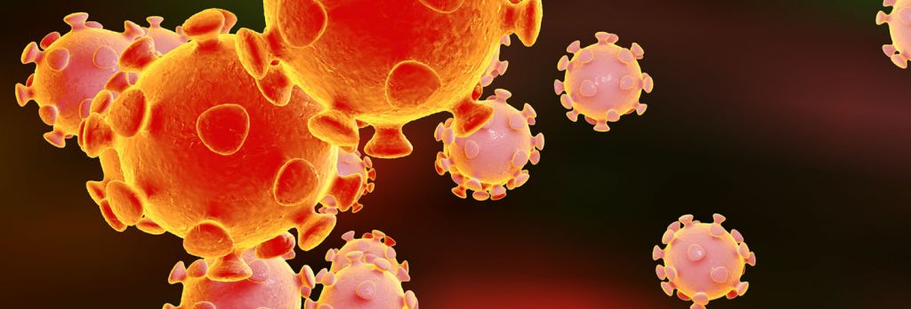 É oficial: novo coronavírus é a epidemia que mais matou na China neste século - 2