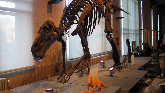 Estudo com ovos de dinossauros sugere que eles podem ter tido sangue quente - 1