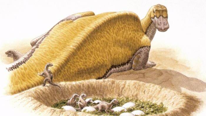 Estudo com ovos de dinossauros sugere que eles podem ter tido sangue quente - 2