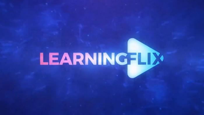 Learningflix | Empresas vêm apostando nas webséries como educação corporativa - 1