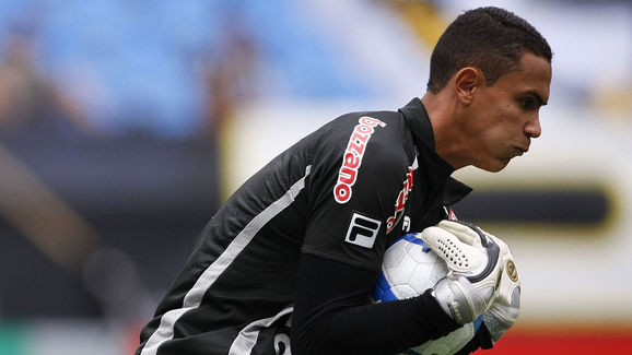 Botafogo v Palmeiras - Serie A