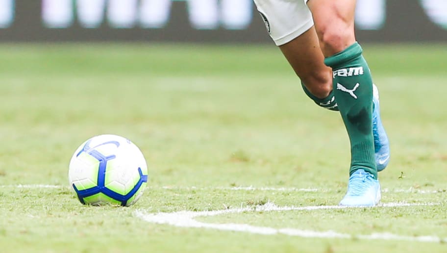 Palmeiras fará estreia do novo gramado sintético contra o Mirassol - 1