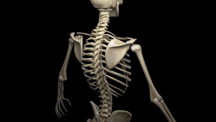 Você sabia? Bebês têm quase 100 ossos a mais que adultos! - 1