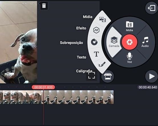 Aprenda a colocar texto em seus vídeos do TikTok - 9