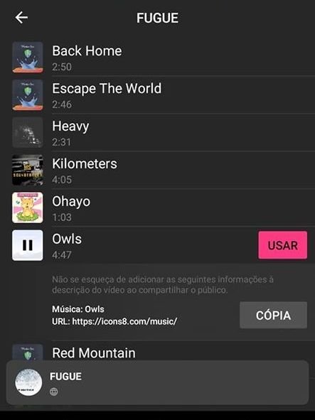 InShot: como colocar música de fundo em suas fotos - 6