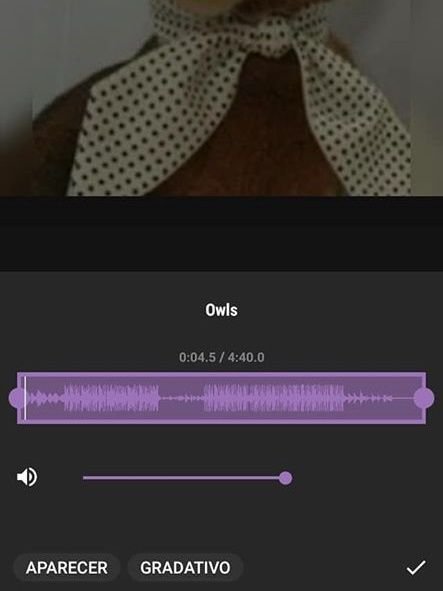 InShot: como colocar música de fundo em suas fotos - 7