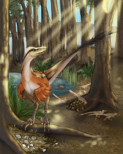 Nova espécie de dinossauro predador
