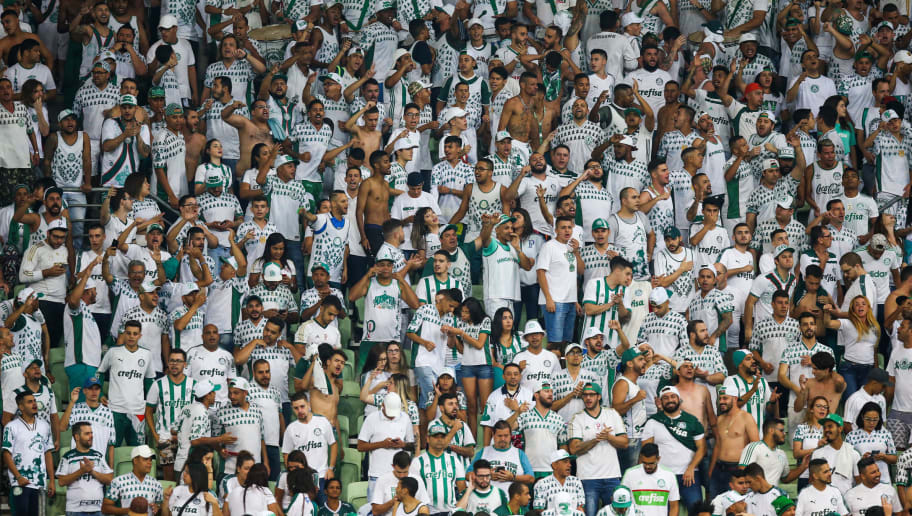 Palmeiras renova com parceria da temporada passada: 