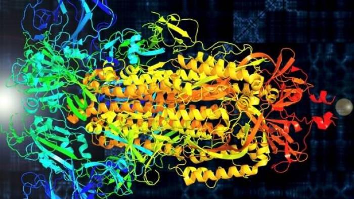 Cientistas transformam coronavírus em música para guiar pesquisas; ouça! - 1