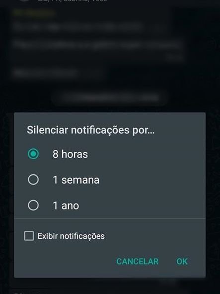 Como bloquear ou silenciar um grupo no WhatsApp em 3 passos simples - 4