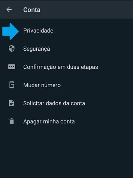 Como bloquear ou silenciar um grupo no WhatsApp em 3 passos simples - 7