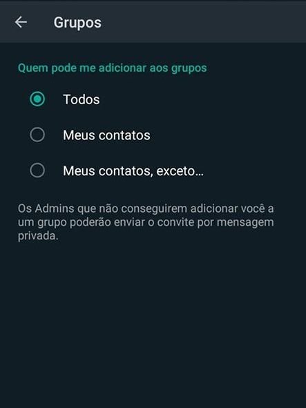 Como bloquear ou silenciar um grupo no WhatsApp em 3 passos simples - 8