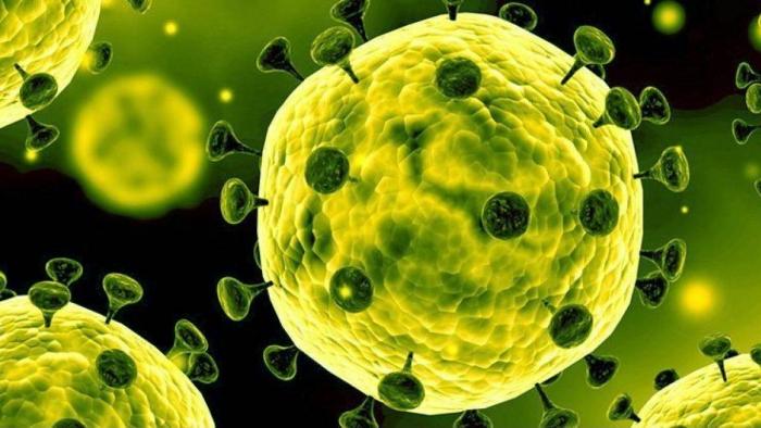 Coronavírus x H1N1: por que não dá para comparar as duas pandemias? - 1