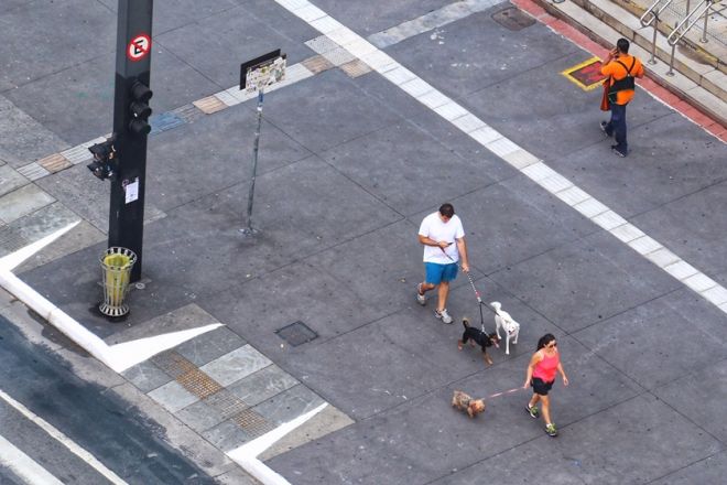 Estado de SP vai usar IA para avaliar deslocamentos e efeitos da quarentena - 2