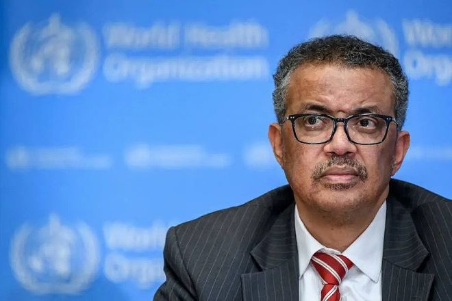 Não há como saber quando será o pico de contaminações pela COVID-19, diz OMS - 2