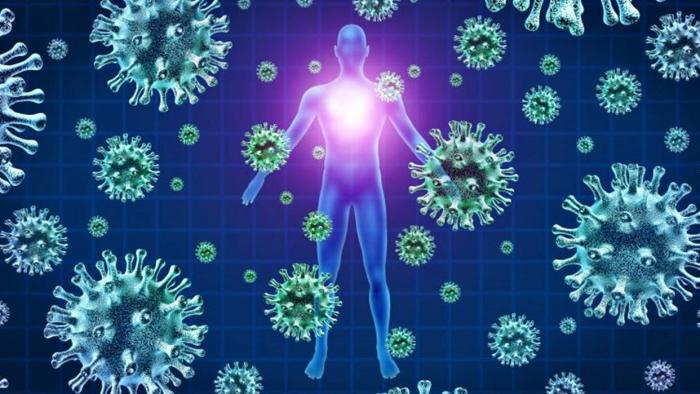 OMS relata incerteza sobre curados da COVID-19 serem imunes a uma nova infecção - 1