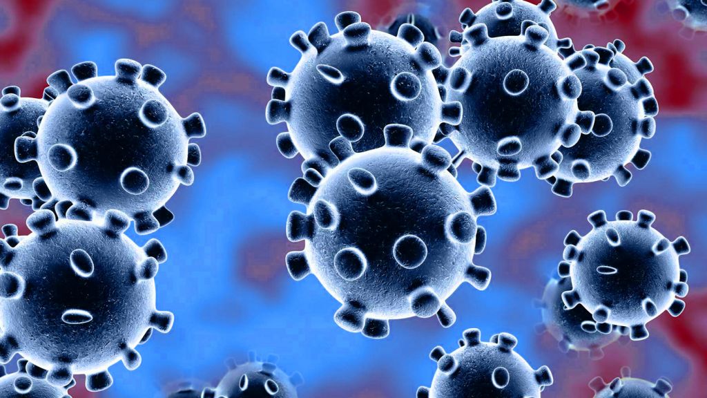 Usando remédio antiparasita, pesquisadores neutralizam coronavírus em 48 horas - 2