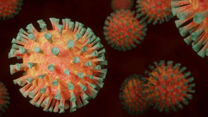 Com reabertura, epidemia do coronavírus pode se intensificar no Brasil - 1