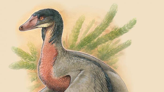 Dinossauro-pássaro que viveu há 90 milhões de anos é descoberto na Patagônia - 1