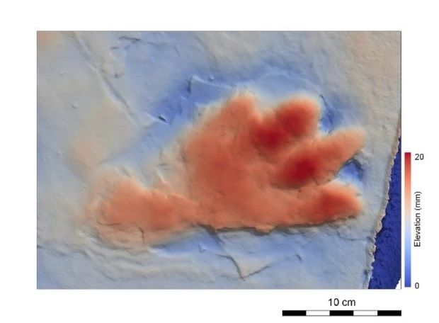 Pegadas fossilizadas: crocodilos bípedes viveram na Terra há 120 bilhões de anos - 2