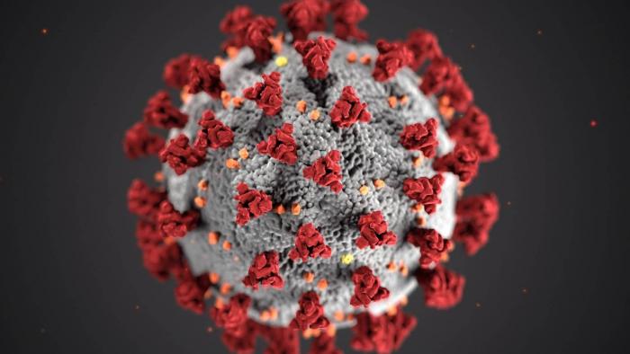 Brasileiros pesquisam possível predisposição genética para contrair coronavírus - 1