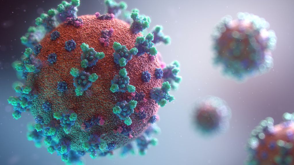 Brasileiros pesquisam possível predisposição genética para contrair coronavírus - 2