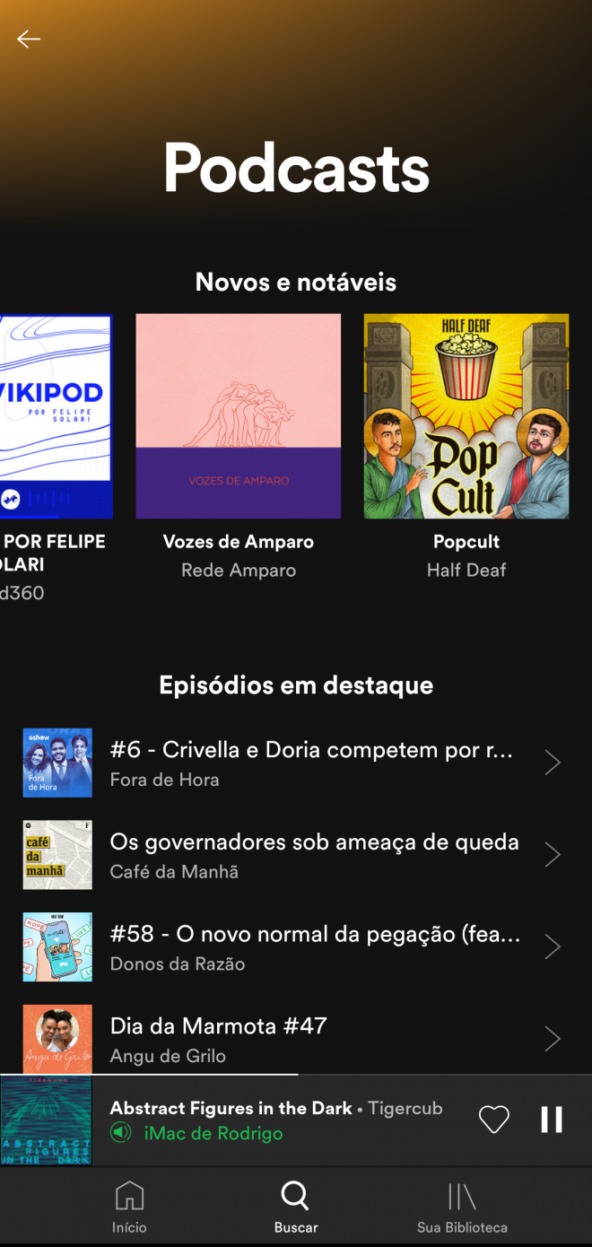 Como acessar o Top Podcasts e Trending Podcasts do Spotify - 8