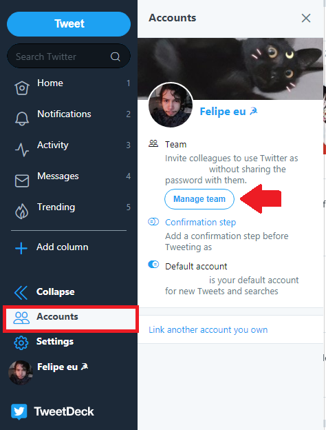 Como usar o TweetDeck, gerenciador de perfis no Twitter - 11
