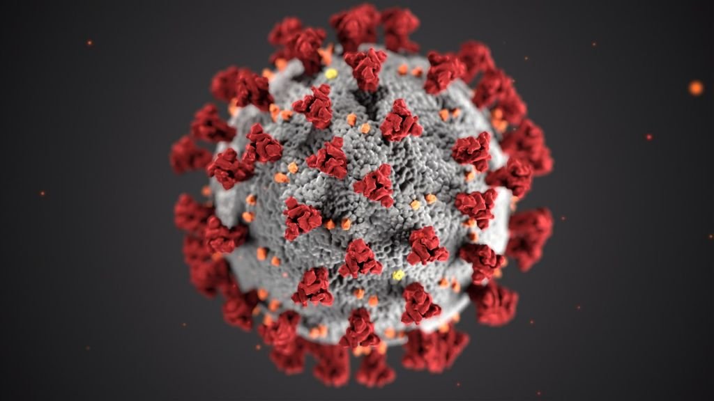 Novo estudo aborda evolução e disseminação epidêmica do SARS-CoV-2 no Brasil - 3