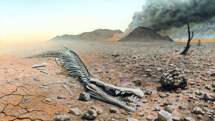Vulcões podem ter trazido a vida de volta à Terra após extinção dos dinossauros - 1
