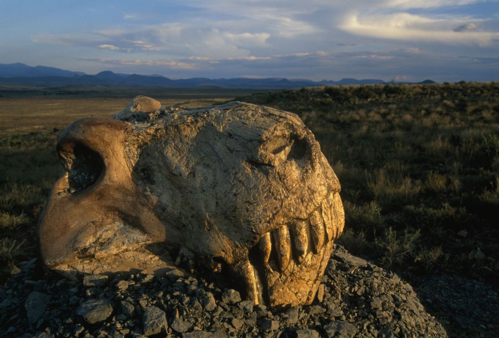 Vulcões podem ter trazido a vida de volta à Terra após extinção dos dinossauros - 2