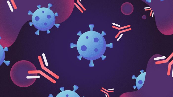 Calma: reinfecção por coronavírus não é motivo para pânico, diz especialista - 1