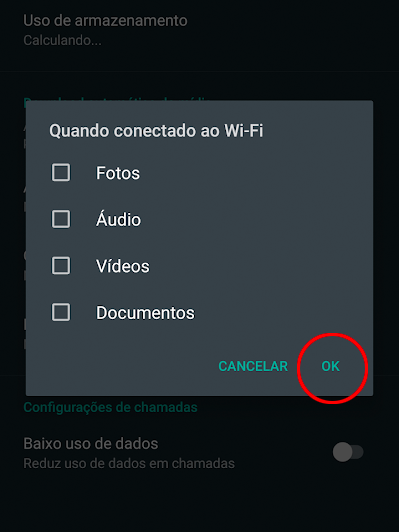 Como impedir que o WhatsApp baixe fotos e vídeos automaticamente - 6