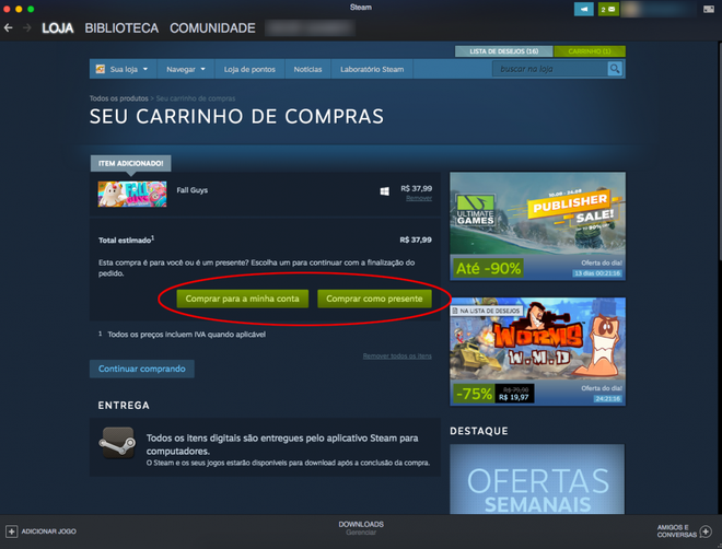 Como dar um jogo de presente na Steam - Canaltech