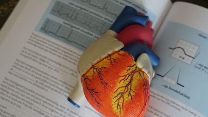 Dos apps ao coração biônico: cardiologia é uma especialidade MUITO tech! - 1