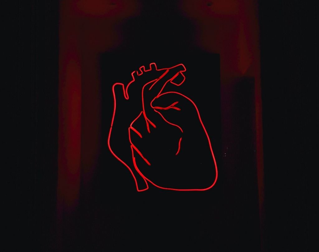 Dos apps ao coração biônico: cardiologia é uma especialidade MUITO tech! - 3
